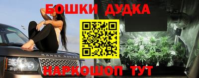 PSILOCYBIN Пушкино